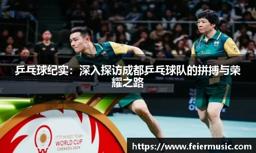 乒乓球纪实：深入探访成都乒乓球队的拼搏与荣耀之路